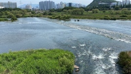 대구 금호강 수질악화 주범... 철거할 때가 왔다 [정수근의 우리 강 이야기]