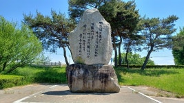 시절이 하 수상하니 이런 시를 지은 배경