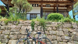 시절이 하 수상하니 이런 시를 지은 배경