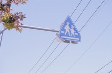 윤석열정부 들어선 지 한 달, 스쿨존서 벌어지고 있는 일들