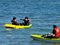 진해만 목 조르는 진해신항 건설 계획 멈춰야