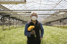 다 떠나고 단 하나 남았다... 화훼농가가 처한 현실 [월간 옥이네]
