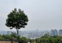 매일매일의 사소함, 그 위대한 버팀목