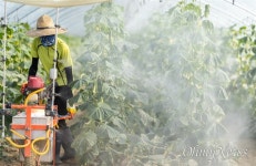 퇴비 무덤 옆 곰팡이 집, 옆 동에선 사람이 죽었다