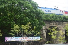 피해자 한 명이라도 살아 있을 때 피해보상 이뤄져야...