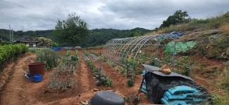 배달음식 시키기 힘들어도... 저는 지금이 행복합니다