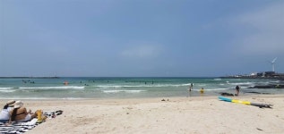 제주 해수욕장, 이거 모르면 낭패입니다