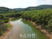 사천시 곤명면 주민 완사천 버드나무 군락 피해 대책 마련해야