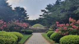 경주 와서 무열왕릉만 보게요? 산책하기에는 이곳이 딱