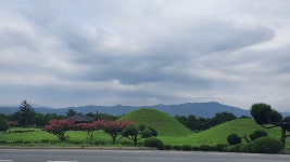 경주 와서 무열왕릉만 보게요? 산책하기에는 이곳이 딱