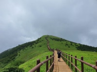 소백산엔 천상의 화원길이 있다