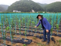 돈 장사에서 조합원 농산물 판매하는 농협으로
