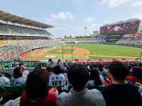 현장 의견 수렴 KBO, 내년부터 2연전 폐지키로