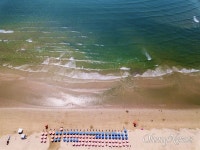 다대포해수욕장 녹조에서 신경독소 BMAA 검출