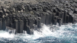 검은색 크레파스처럼 생겼는데... 천연기념물이라네요