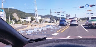 [사진] 도로에 쏟아진 생수병... 팔 걷어붙인 완도 시민들