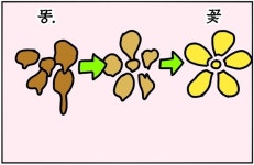 요양원서 난동 부린 치매 노인의 극적인 변화