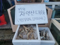 [사진] 선선한 초가을 날씨... 홍성 남당항은 북적