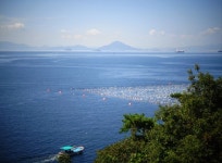 그림 같은 바다 풍경이 준 선물 같은 하루