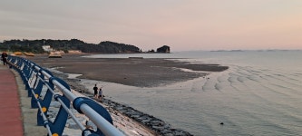 서해안에 북적이는 캠핑족, 무엇 때문인가 봤더니