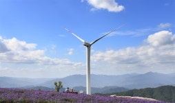 [거창] 감악산 정상, 하늘 아래 첫 가을 꽃동산