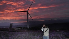 [거창] 감악산 정상, 하늘 아래 첫 가을 꽃동산