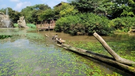 입국 비자를 받아야만 방문할 수 있는 섬