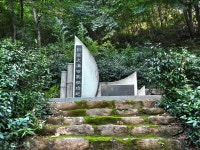 차나무 꽃의 향기가 가득한 구례 차 시배지