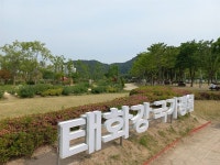 울산전국체전 성화, 강화 마니산·태화강 정원서 3일 채화