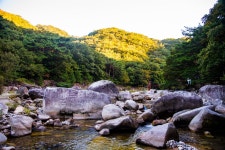 단양팔경 단 하루 안에 보는 법 알려드립니다 [중앙선 역사문화기행]