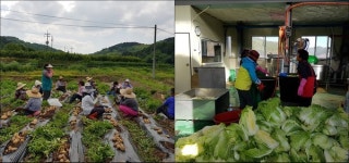 행복 농촌에 뽑힌 사천읍 장전2리, 비결은 흥흥흥