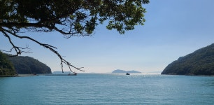 진도자연휴양림, 산책길만 걸어도 본전 뽑겠네