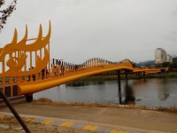 황룡강변을 수놓은 가을 꽃에 취하다