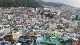 해운대 말고 망양로에 가면 볼 수 있는 것들