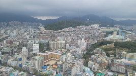 해운대 말고 망양로에 가면 볼 수 있는 것들
