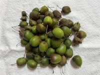 봉화 춘양에서 만난 영혼을 위한 송이호박국 [보그(Vogue) 춘양]