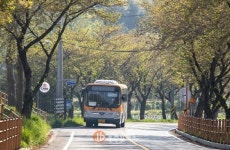 주민자치회서 마을 특색 살려 순환버스 운영할 수 있게 해야