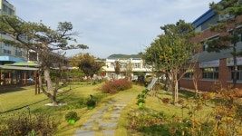 학교운동장을 숲으로? 한 초등학교 교장의 계획