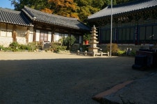 마음을 비우고 비우면... 이런 꽃담도 가능합니다 [꽃담여행]