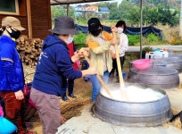 우리가 먹는 채소와 과일이 이렇게 생산된다니... 씁쓸한 현실 [파리로 가는 길]