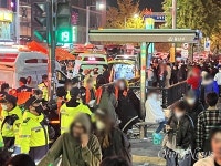 이태원에서 같이 살아나온 친구, 진실에게