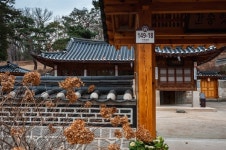 독재 정권을 무너뜨린 혁명의 단풍길 걸어보세요 [단칼에 끝내는 서울 산책기]
