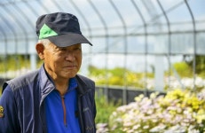 영화에 나올 법한 꽃동산, 가을에만 볼 수 있어요