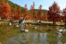 물속에 잠긴 메타세쿼이아 단풍이 장관입니다