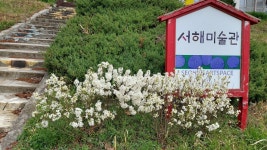 무모한 집념으로 일궈낸 서해미술관