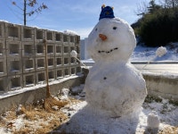 직접 지은 집의 최고 매력, 다신 아파트로 못 돌아가 [어쩌다 집짓기]