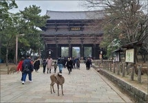 나라 동대사 세운 백제스님의 발자취를 찾아서