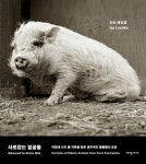 당신은 나이든 돼지의 얼굴을 본 적 있습니까
