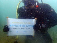 잘피 복원 ... 에코피스아시아-국민은행, 남해 바다숲 조성
