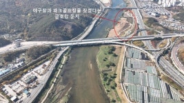 멸종위기종 서식처에 토건공사 강행... 대구 북구청은 왜?